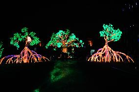 Light Exhibition At The Jardin Des Plantes - Paris