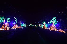 Light Exhibition At The Jardin Des Plantes - Paris