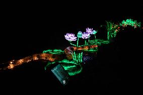 Light Exhibition At The Jardin Des Plantes - Paris