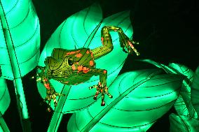 Light Exhibition At The Jardin Des Plantes - Paris