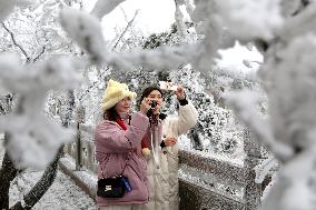 Rime Scenery in Lianyungang