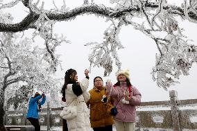 Rime Scenery in Lianyungang