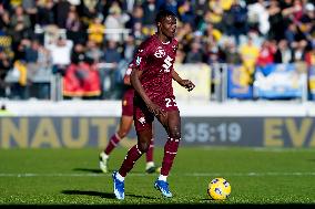 Frosinone Calcio v Torino FC - Serie A