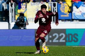 Frosinone Calcio v Torino FC - Serie A