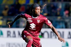 Frosinone Calcio v Torino FC - Serie A