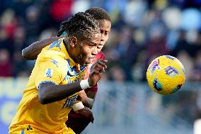 Frosinone Calcio v Torino FC - Serie A