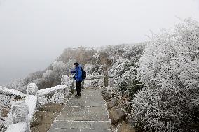 Rime Scenery in Lianyungang