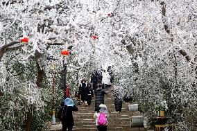 Rime Scenery in Lianyungang