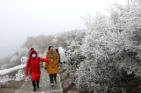 Rime Scenery in Lianyungang