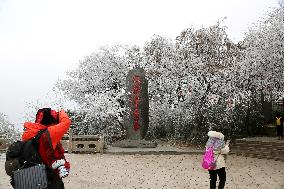 Rime Scenery in Lianyungang