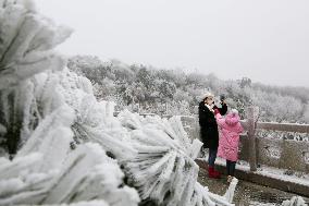 Rime Scenery in Lianyungang