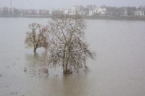 Flood Season Begins In Cologne
