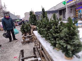 Christmas tree market in Kyiv
