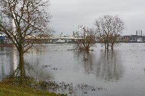 Flood Season Begins In Cologne