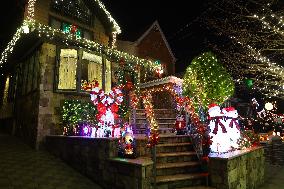 The Dyker Heights Christmas Lights 2023