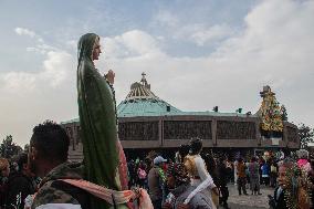Peregrination For The Day Of The Virgin Of Guadalupe