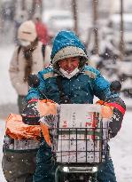 CHINA-BEIJING-SNOWFALL (CN)