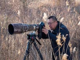 CHINA-NINGXIA-SHUTTERBUGS-ANCIENT GREAT WALL (CN)