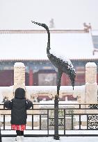 CHINA-BEIJING-PALACE MUSEUM-SNOWFALL (CN)