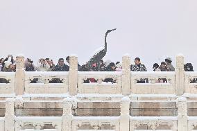 CHINA-BEIJING-PALACE MUSEUM-SNOWFALL (CN)
