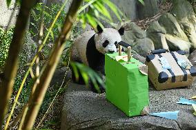 SINGAPORE-GIANT PANDA-LE LE-FAREWELL PARTY