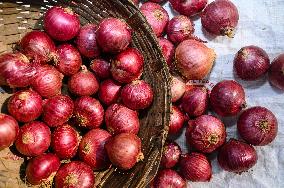 India Bans Onion Exports Until March 31, 2024