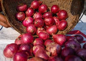 India Bans Onion Exports Until March 31, 2024