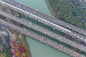 A Bullet Train Runs in Nanjing