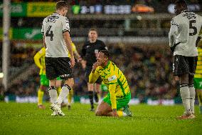 Norwich City v Sheffield Wednesday - Sky Bet Championship