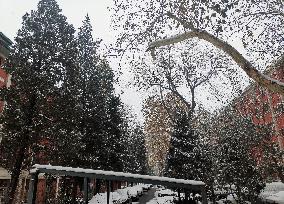 Snow in Beijing