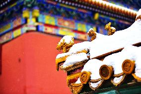 The Forbidden City Snow Scenery in Beijing