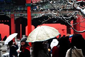 The Forbidden City Snow Scenery in Beijing