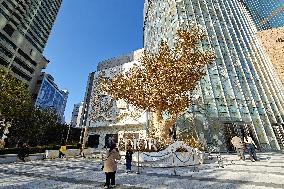 DIOR Christmas Tree in Shanghai