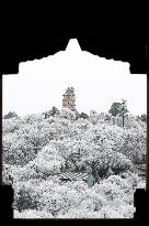 #CHINA-WINTER SCENERY(CN)