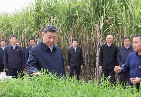 CHINA-GUANGXI-LAIBIN-XI JINPING-INSPECTION (CN)