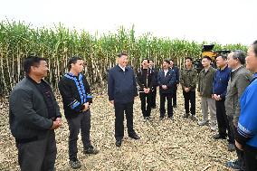 CHINA-GUANGXI-LAIBIN-XI JINPING-INSPECTION (CN)