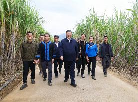 CHINA-GUANGXI-LAIBIN-XI JINPING-INSPECTION (CN)