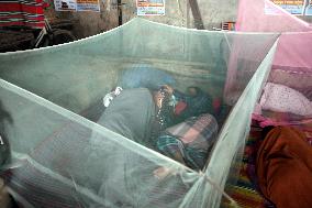 Climate Change Drives Worst Dengue Outbreak - Dhaka