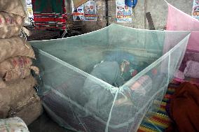 Climate Change Drives Worst Dengue Outbreak - Dhaka
