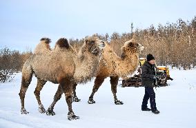 CHINA-INNER MONGOLIA-ARXAN-ICE AND SNOW TOURISM (CN)