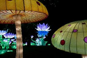 Lantern Festival - Montauban