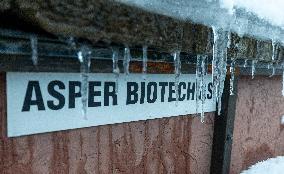 Asper Biogene data leak