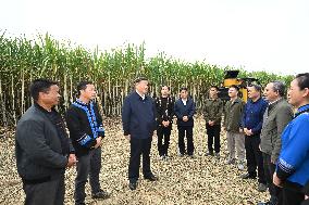 CHINA-GUANGXI-LAIBIN-XI JINPING-INSPECTION (CN)