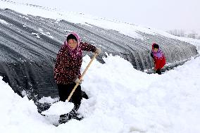 Heavy Snow Hit Binzhou