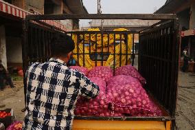 Selling Onions at an Outdoor Market - India