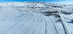 Farm Grass Planting Base in Zhangye