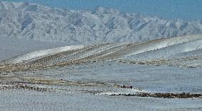 Farm Grass Planting Base in Zhangye