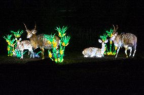 Opening Of China Light Festival In Cologne Zoo