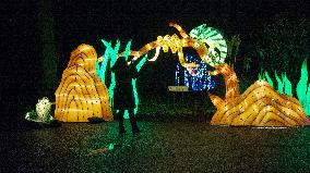 Opening Of China Light Festival In Cologne Zoo