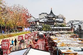 Snow Scenery in Nanjing
